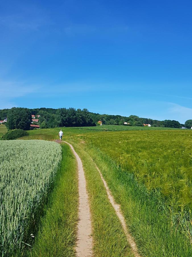 B&B Le Reclus Mont-de-l'Enclus ภายนอก รูปภาพ